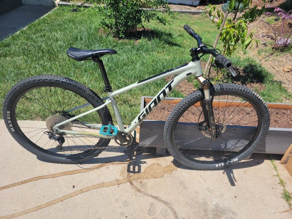 Giant Talon 1 Desert Sage 29 Mountain Bike
