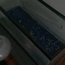 Fish Tank 