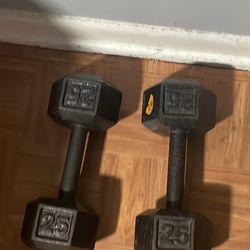 Pair Of 25 Pound Dumbbells