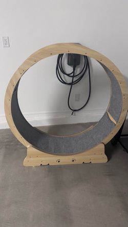 Cat Wheel