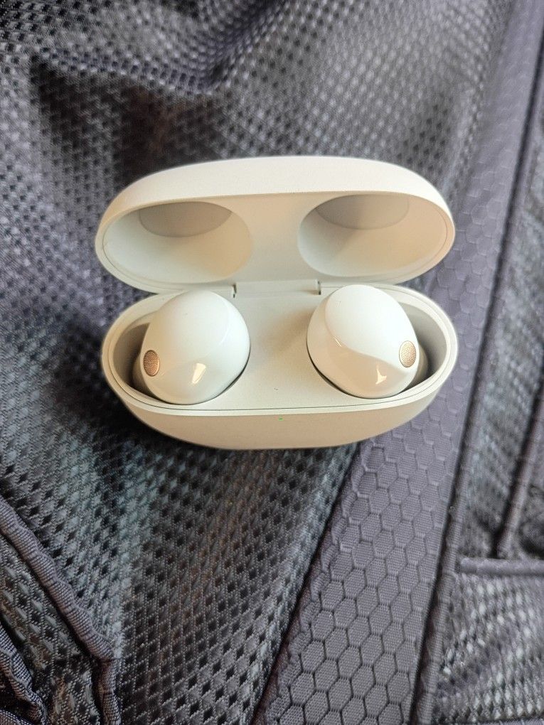 Sony Earbuds The Best Truly WF100 Earbuds