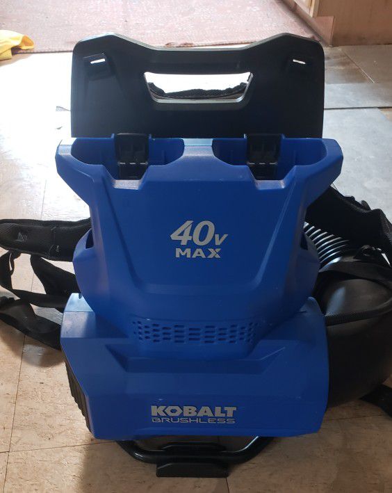 Kobalt 40v x 2 Brushless backpack blower works great and comes with 2 batteries