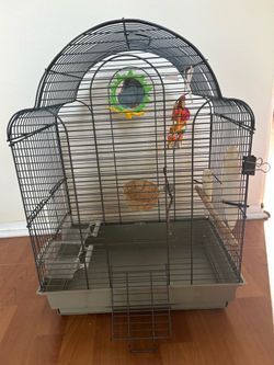 Bird cage , medium size