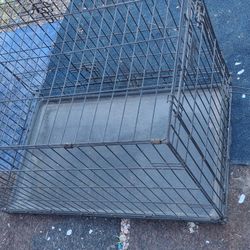 Dog Crate