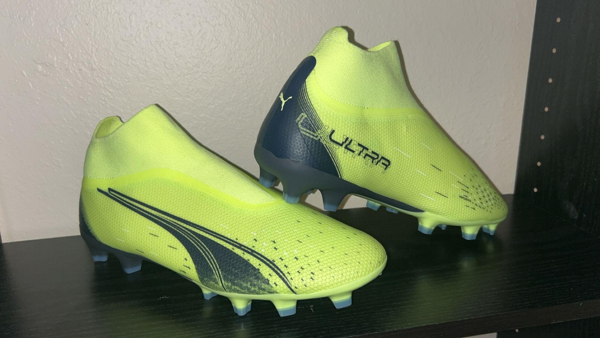 Puma Clears