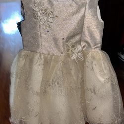Beautiful champagne color dress for little girls size 4T