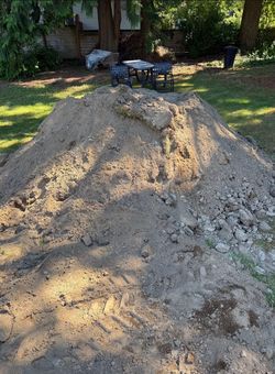 Free dirt! Location Kirkland. Delivery available
