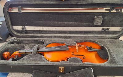 Violin Classical Strings VL70 with Case