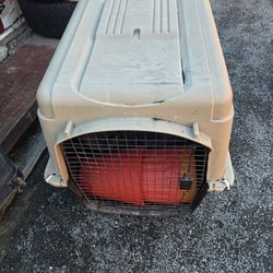 Dog House