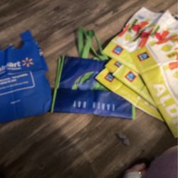 Five Aldi Bags Four Walmart Bags, One Earth Bag
