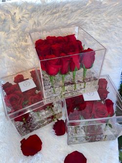 Acrylic flower boxes