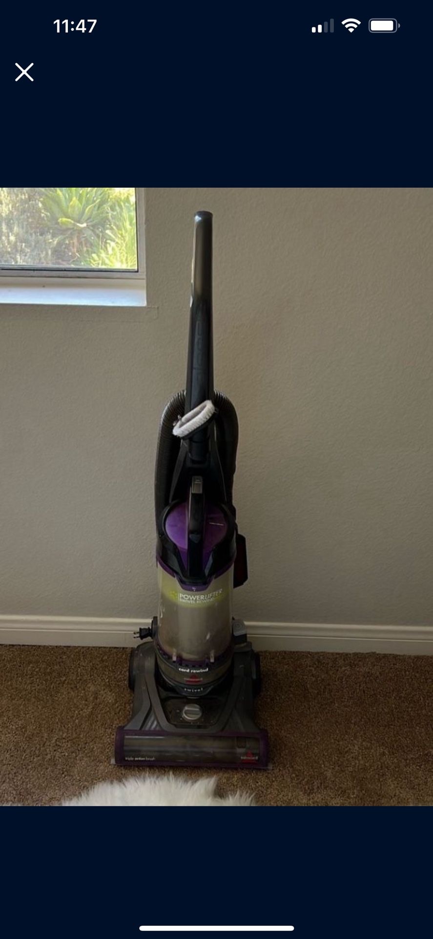 Vacuum. Good If You Have Pet Hair