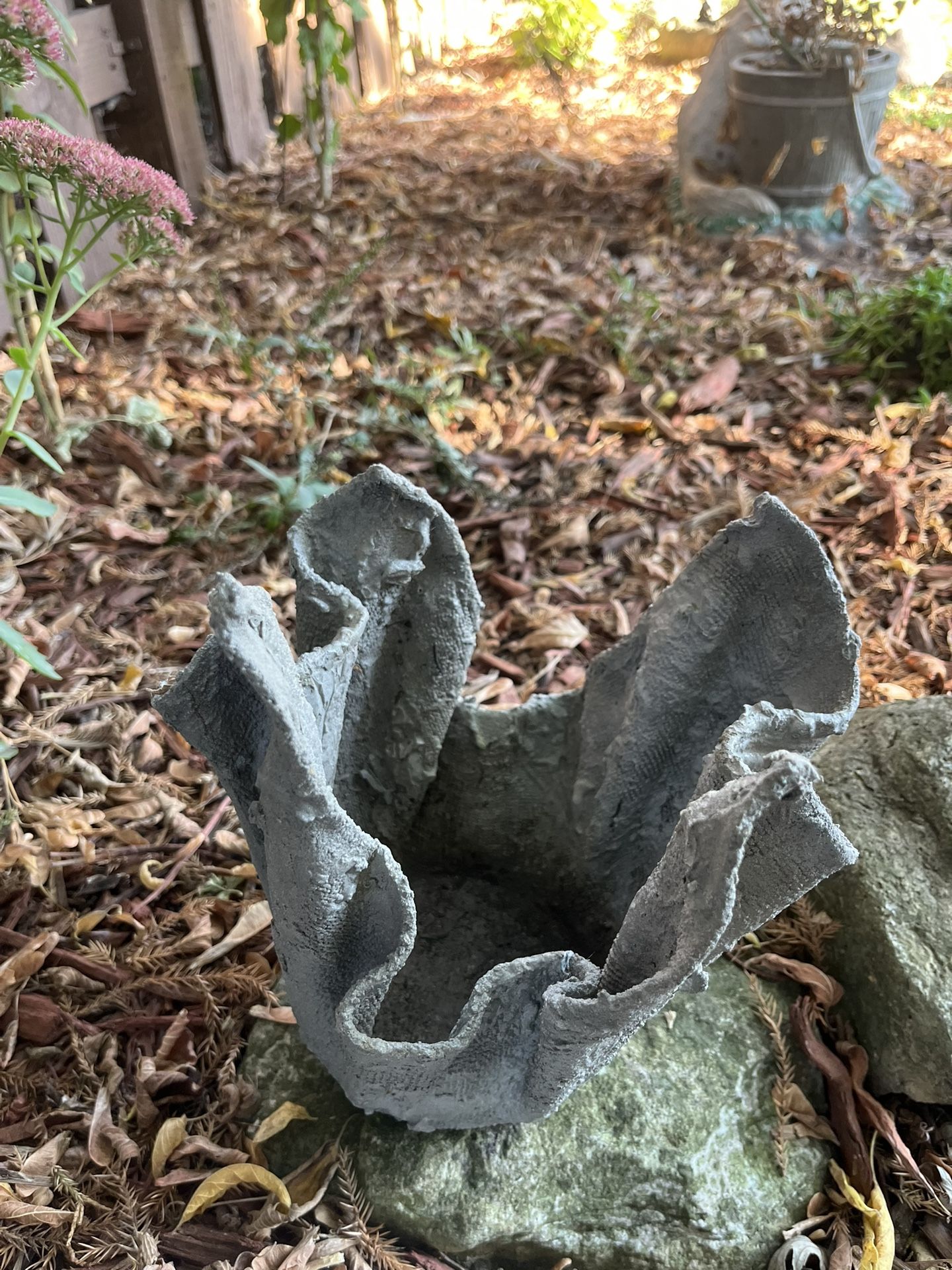 Plant Pots