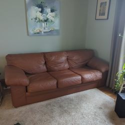 Leather Sofa Bed