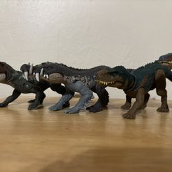 Crocodile Relatives
