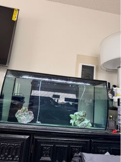 Fish tank