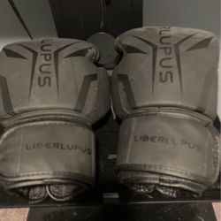 Boxing Gloves