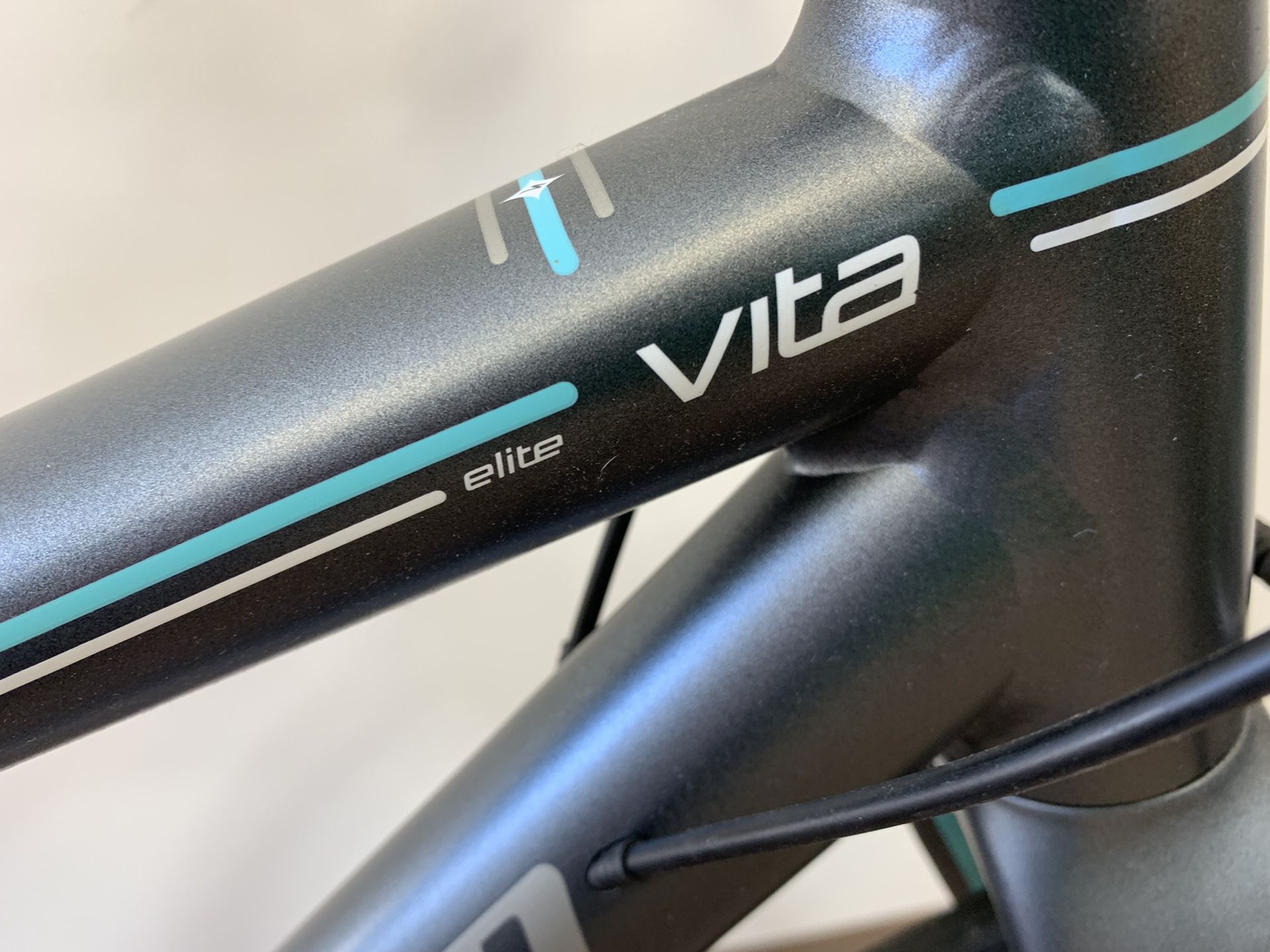 Vita specialized elite bike