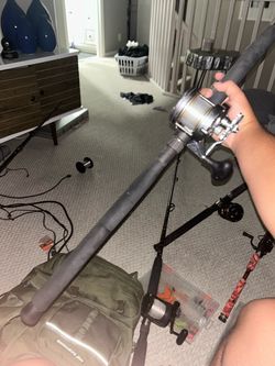 Shimano Torium 16H