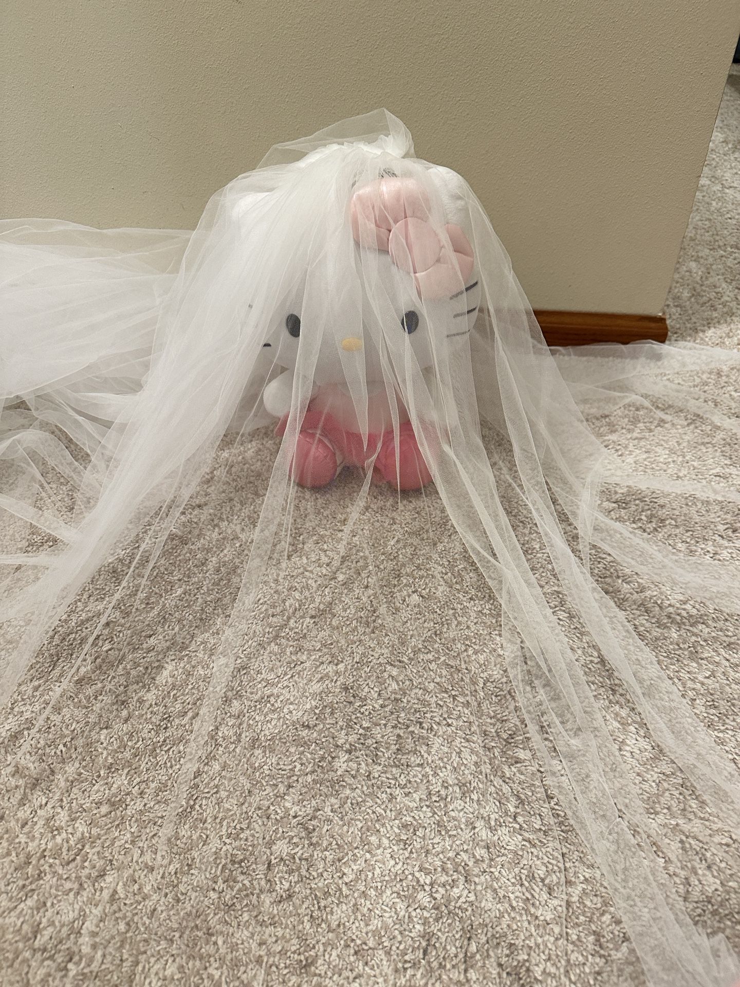 Super long Wedding Veil True White