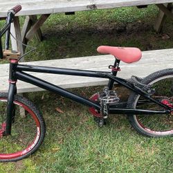 Super Rare Anarchy Bmx Bike