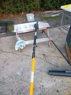 Pole Saw with Telescoping Shaft