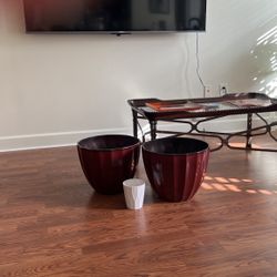 Flower Pots