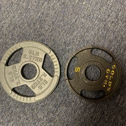 Pair Of 5 Lbs. Weights