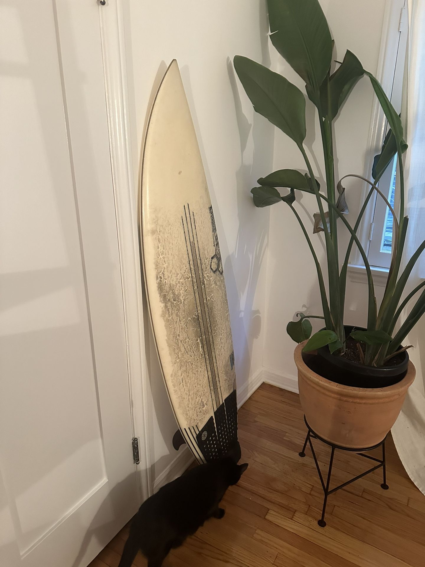5’ 8” Channel Island Flex Bar Sampler Short Board With Fins