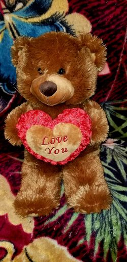 Medium size teddy bear