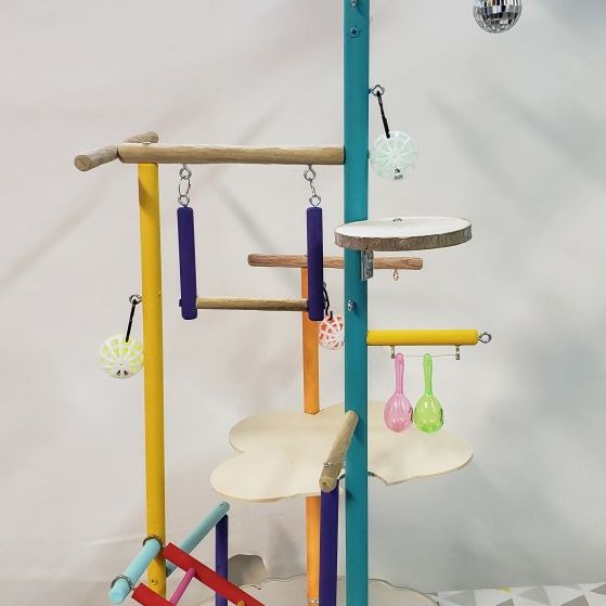 Parakeet Play Gym #14
