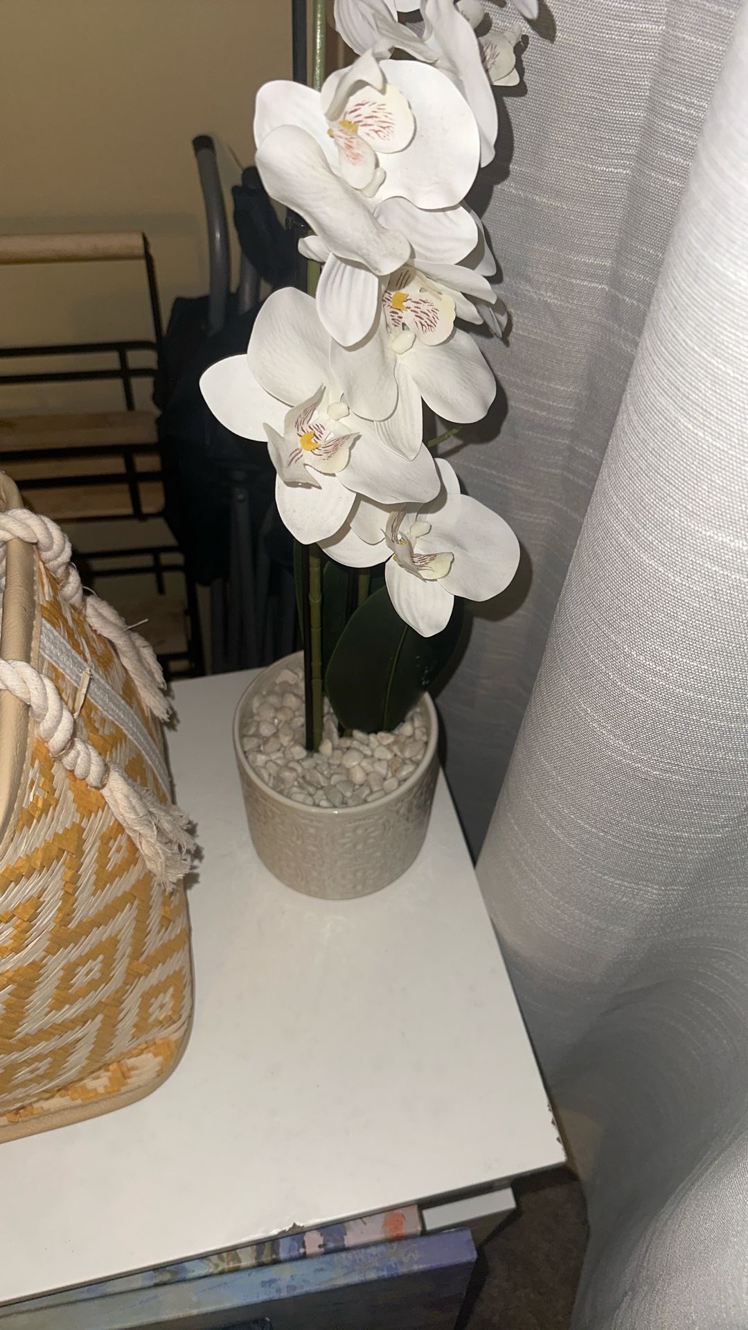 plant decoration