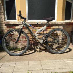 Giant Bike 