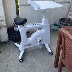 Exercise/ Work Desk