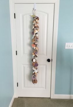 Real sea shell decor