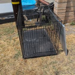 Large Dog Crate