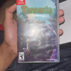 Nintendo Switch Terraria