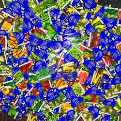 Organic Gardening Seeds, Fruits, Vegetables, and Flowers !