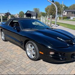 2001 Pontiac TransAm Ws6