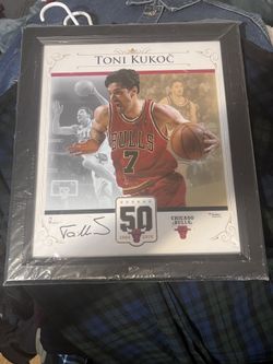 Toni Kukoc Signed Frame