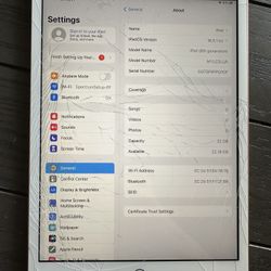 iPad 8th Generation (Cracked Screen)