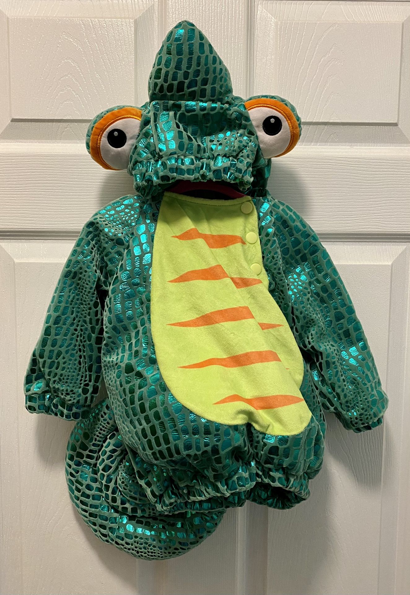 Tangled Pascal Costume Baby (12-18 months)
