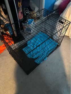 Collapsable Dog Crate