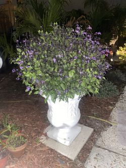 Purple Flowers In Ceramic Pot