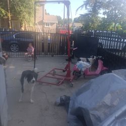 Heavy Duty Disable Person Lift