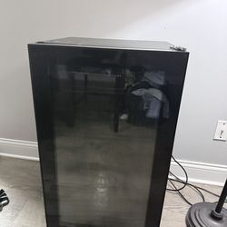 Mini fridge holds 125 cans