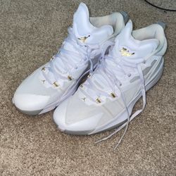 Jordan Zion 1 Mlk P White/mtllc Gld