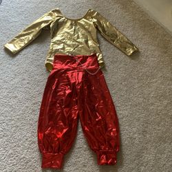 Girl's Dance Costume ( 5-6 Year Old girl)