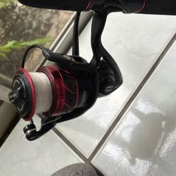 PENN Fierce III 5000 Spinning Reel + Shakespeare Ugly Stik Rod – Saltwater Ready Diawa Shimano