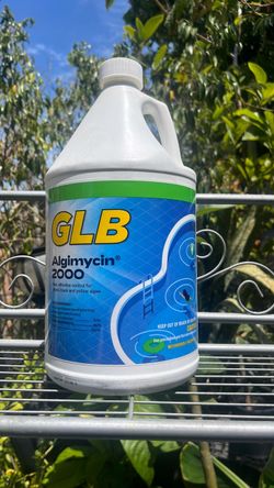 1 gallon GLB 2000 Alge for pools